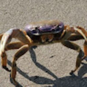 Meet your Posher, Bryan